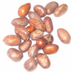 Ehuru " Calabash nutmeg or Jamaican nutmeg" (0.2-0.3 lb bag)