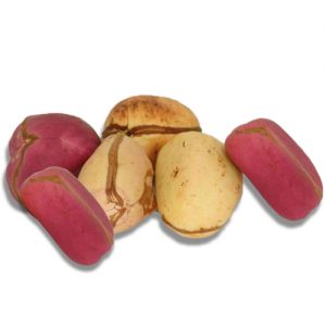 Kola Nut (packet)