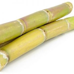  Sugar Cane (Bundle of 3)