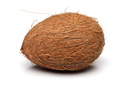 Fresh Coconut (price per coconut)