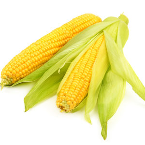 Fresh Corn (price per ear of corn)