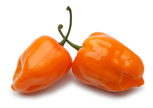 25 International Groceries to buy on OjaExpress - Habanero Peppers OjaExpress
