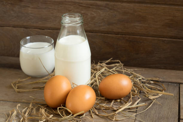 25 International Groceries to buy on OjaExpress - Dairy and Eggs OjaExpress